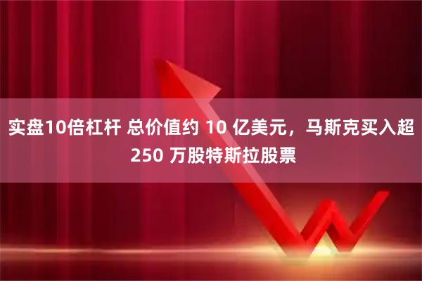 实盘10倍杠杆 总价值约 10 亿美元，马斯克买入超 250 万股特斯拉股票